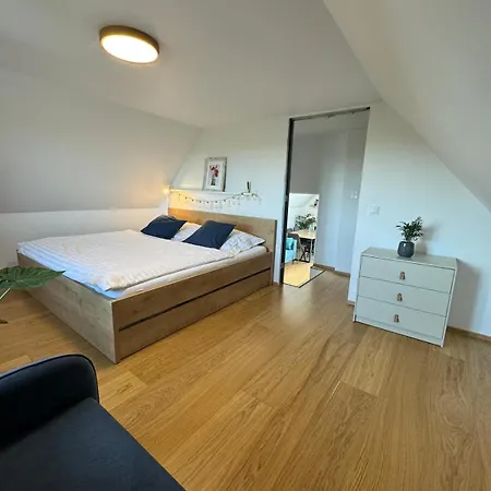 Nase Buda Holiday home *